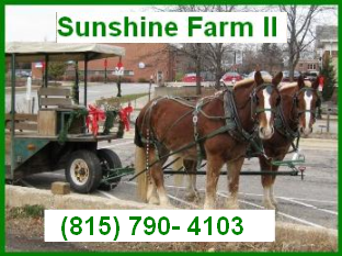 Sunshine Farm II - We Provide Professional Services for Any Occasion!